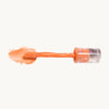 Creamsicle Lip Gloss